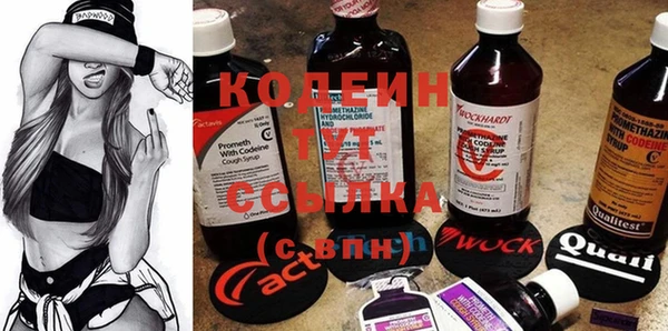 гидра Абаза