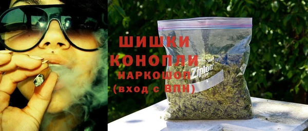 гидра Абаза