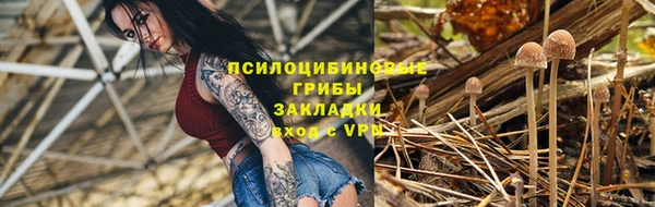 героин Алексин