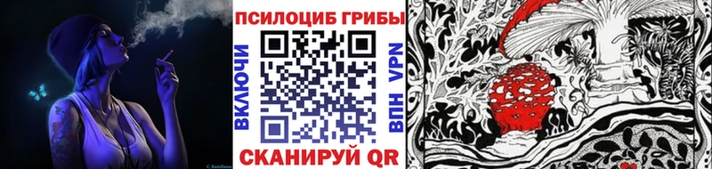 Галлюциногенные грибы Psilocybe  Переславль-Залесский 